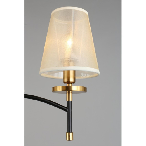 Люстра потолочная OML-67307-05 фото 7