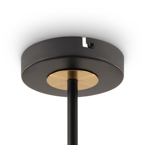 Потолочный светильник Freya FR5370CL-04B фото 2