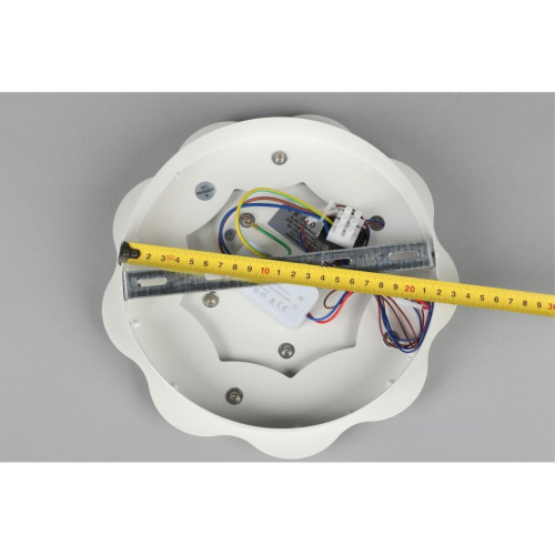 Светильник настенный (Бра) OML-07901-26 фото 5 Светильник настенный (Бра) OML-07901-26 фото 5