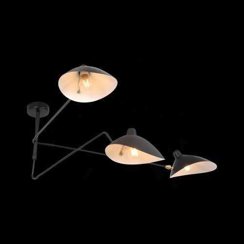 SL305.402.03 Люстра потолочная ST-Luce Черный/Черный, Белый E27 3*60W SPRUZZO фото 2