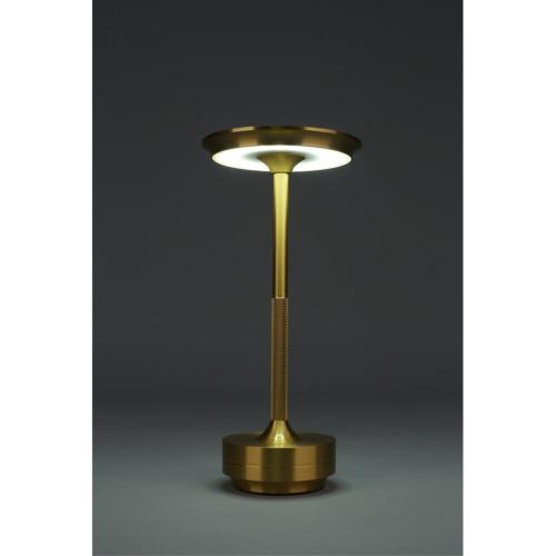 Настольная лампа OML-40414-01 фото 7