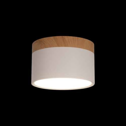 10162 White Накладной светильник LOFT IT Grape фото 2