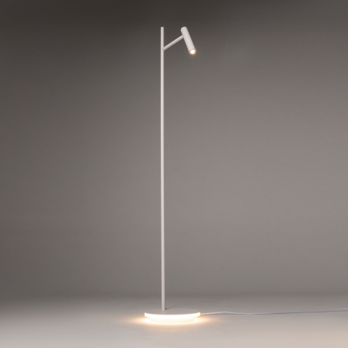 Напольный светильник (торшер) Maytoni Z010FL-L8W3K фото 10