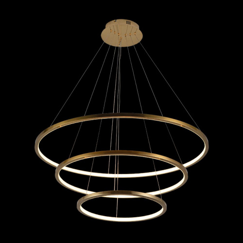 10015/3 Подвесной светильник LOFT IT Ring фото 5