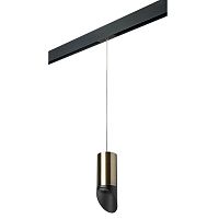 Комплект с трековым светильником Lightstar Rullo (214431+595857+201437) PRORP43137