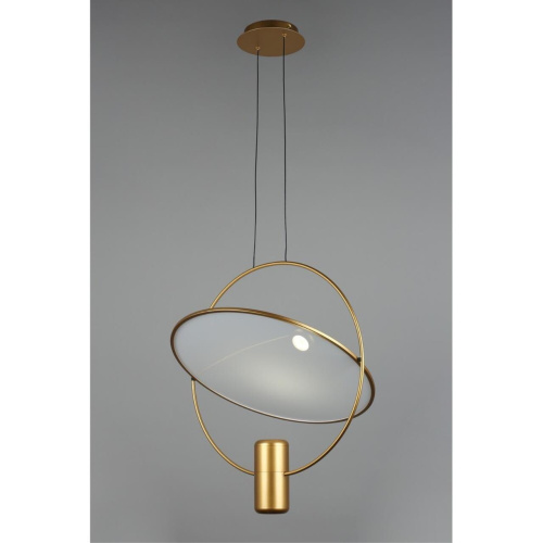 Светильник подвесной OML-29816-02 фото 6