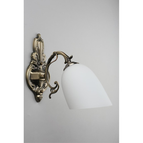 Светильник настенный (Бра) OML-56401-01 фото 2 Светильник настенный (Бра) OML-56401-01 фото 2