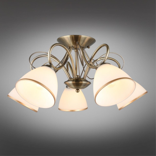 Люстра потолочная OML-25307-05 фото 3