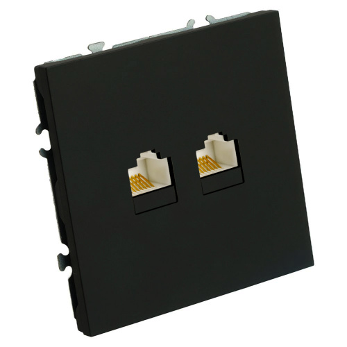 Розетка компьютерная 2-местная RJ-45 (механизм), STEKKER, серия Эмили, RST00-5111-05, черный уголь, soft touch фото 2