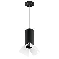 Комплект с подвесным светильником Lightstar Rullo (214487+590057+202436) RP487436