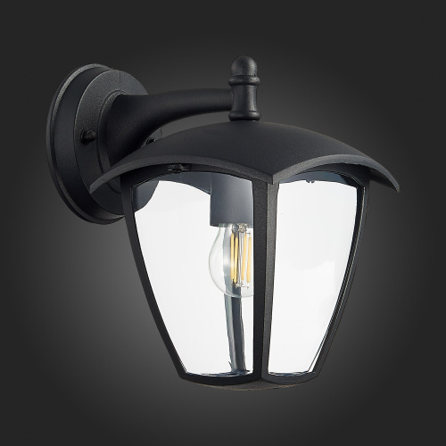 SL081.411.01 Светильник уличный настенный ST-Luce Черный/Черный, Прозрачный E27 1*40W SIVINO фото 6