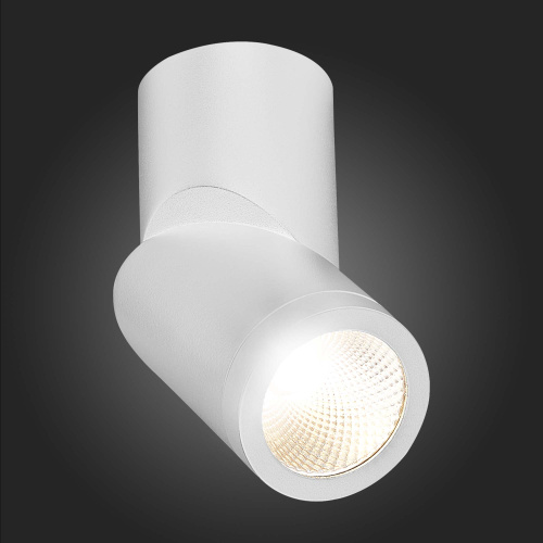 ST650.542.10 Светильник потолочный Белый LED 1*10W 4000K 800Lm Ra>90 38° IP44 D62xH151 165-265V Накладные светильники фото 6