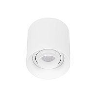Светильник SP-ACENTO-R95-10W Warm3000 (WH, 20-45 deg, 230V) Arlight 055742