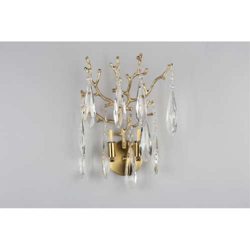 Светильник настенный (Бра) OML-52901-02 фото 5