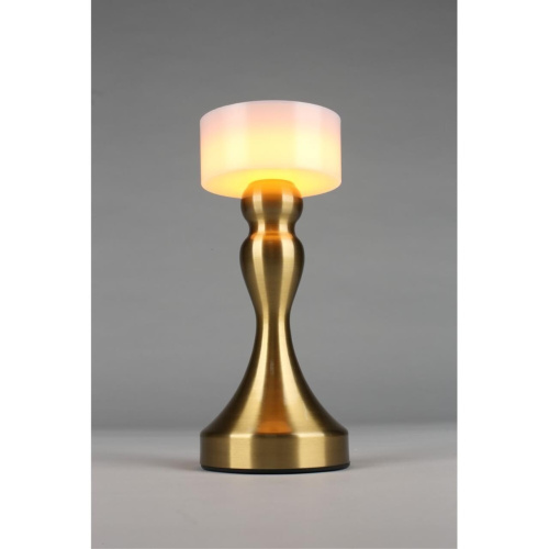 Настольная лампа OML-40304-01 фото 6 Настольная лампа OML-40304-01 фото 6