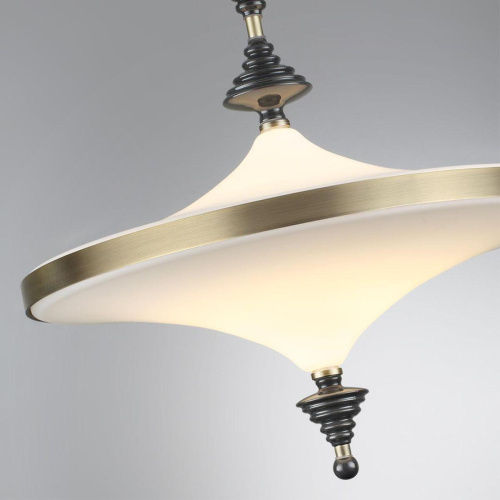 Подвесной светодиодный светильник Odeon Light Exclusive L-Vision Ula 5404/43CL фото 5