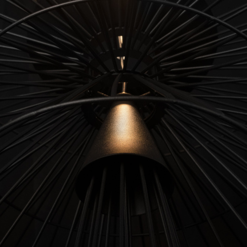 10141/400 Black Подвесной светильник LOFT IT Star фото 7