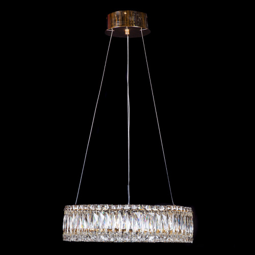 Люстра подвесная Vetto Gold FL1147-5P фото 2