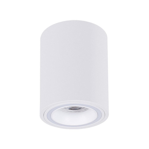 Точечный накладной светильник Arte Lamp IMAI A2267PL-1WH