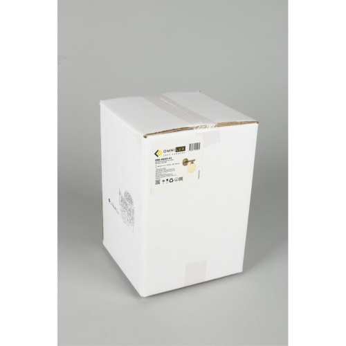 Светильник настенный (Бра) OML-68301-01 фото 2