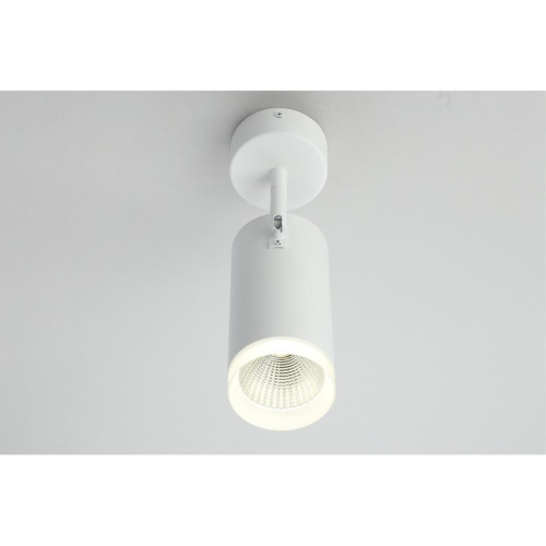 Светильник настенно-потолочный OML-102609-20 фото 8