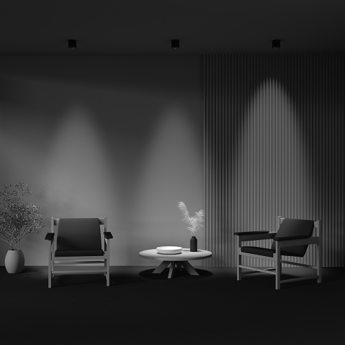 Потолочный светильник Technical C217CL-15W3K-B фото 7