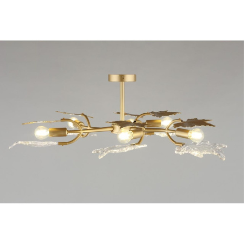 Люстра потолочная OML-52707-06 фото 2