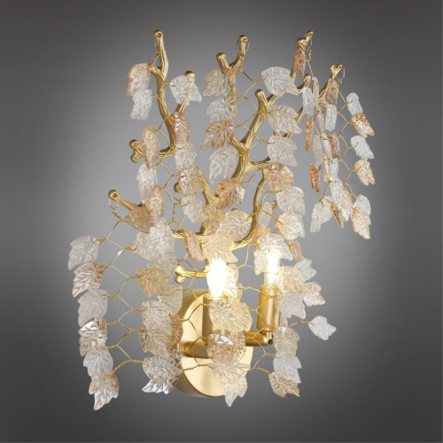 Светильник настенный (Бра) OML-52801-02 фото 3