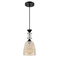 Подвесной светильник Lumion Suspentioni Elenika 8056/1A
