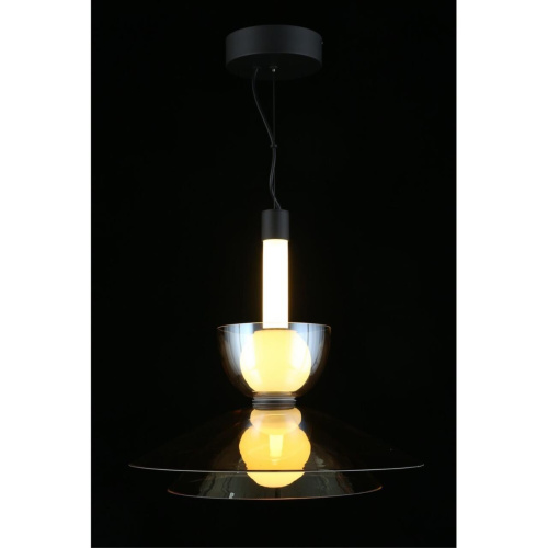 Светильник подвесной APL.772.06.12 фото 4