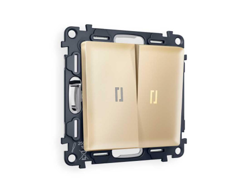 Комплект механизма 2-кл выключателя AMBRELLA VOLT с подсветкой 3200K ALFA Шампань QUANT (AP6040, VM115, G11Y) MA604010