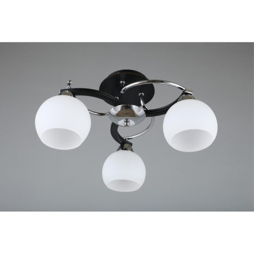 Люстра потолочная OML-25407-03 фото 5