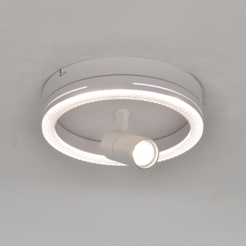 Настенно-потолочный свет Escada 20044SMA/02 LED 30W 4000K белый фото 2