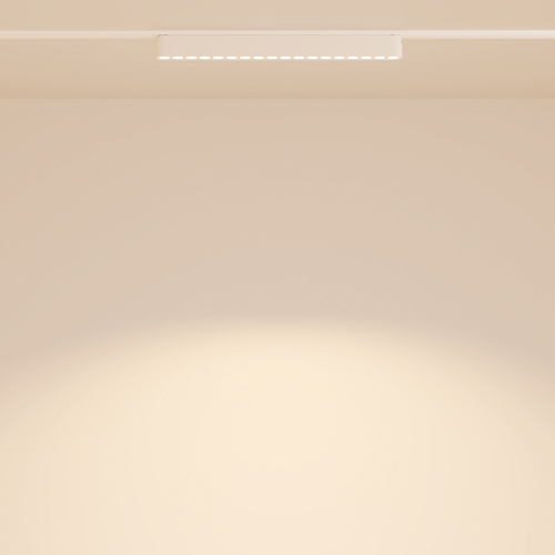 Трековый светильник Technical TR082-1-18W3K-M-W фото 6