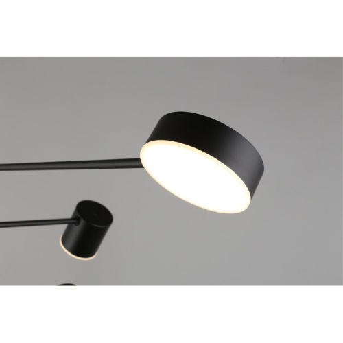 Люстра потолочная APL.017.07.48 фото 16