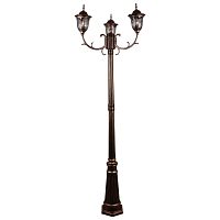 Уличный фонарь Reluce 00867-0.7-003SL 2.2M BKG