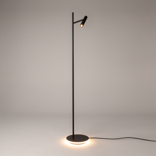 Напольный светильник (торшер) Maytoni Z010FL-L8B3K фото 8