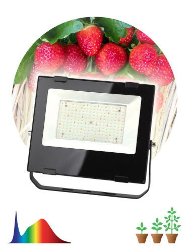Прожектор светодиодный для растений ЭРА 100W 4000K Fito-100W-Ra90-Led Б0047876 фото 3