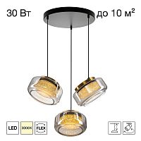 Светильник Citilux SIGNATURE CL247012