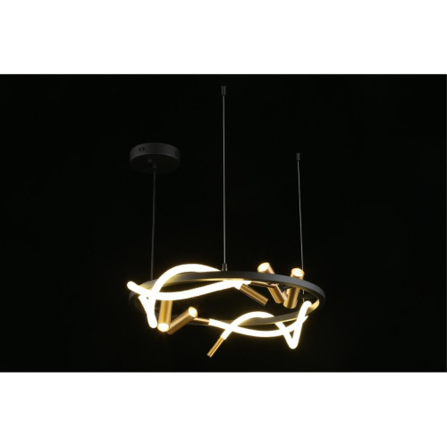 Люстра подвесная APL.066.03.45 фото 15