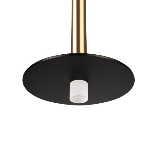 10358/830 Disk AB Подвесной светильник LOFT IT Reed фото 3 10358/830 Disk AB Подвесной светильник LOFT IT Reed фото 3