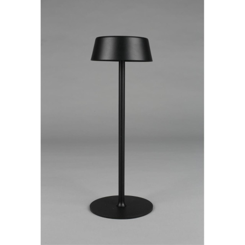 Настольная лампа OML-40504-01 фото 4 Настольная лампа OML-40504-01 фото 4