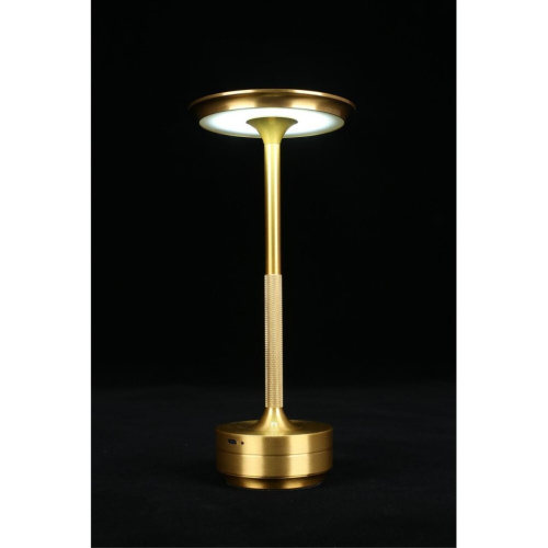 Настольная лампа APL.064.04.05 фото 10