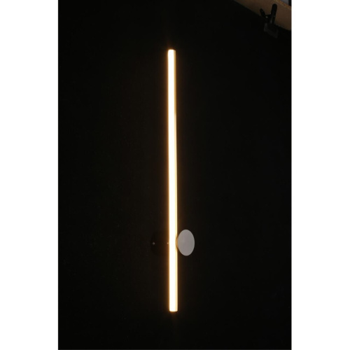 Светильник настенный (Бра) APL.056.01.09 фото 4 Светильник настенный (Бра) APL.056.01.09 фото 4