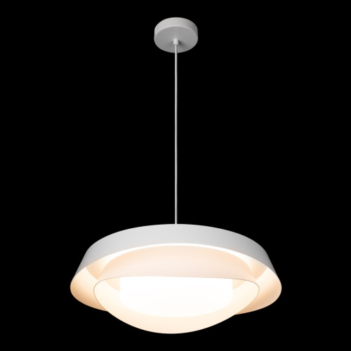 10256P White Подвесной светильник LOFT IT Petale фото 7 10256P White Подвесной светильник LOFT IT Petale фото 7