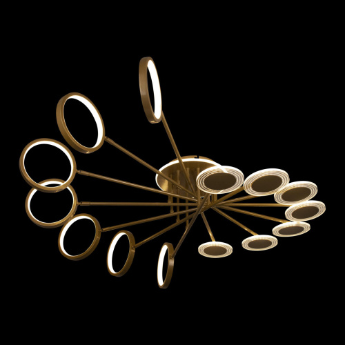 10164L Gold Потолочный светильник LOFT IT Megan фото 2