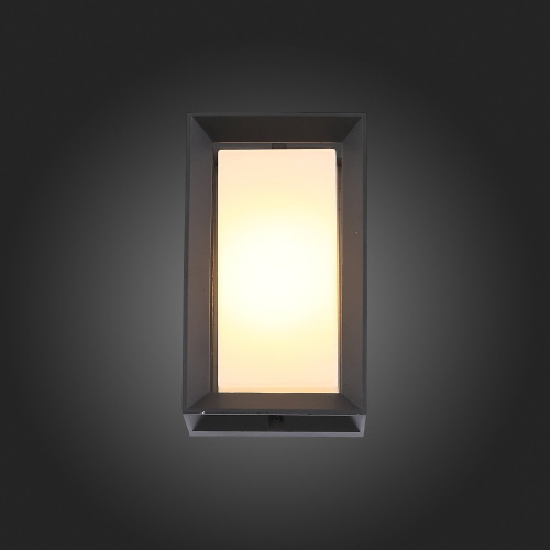 SL077.411.01 Светильник уличный настенный ST-Luce Черный/Белый LED 1*6W 3000K CUBISTA фото 5