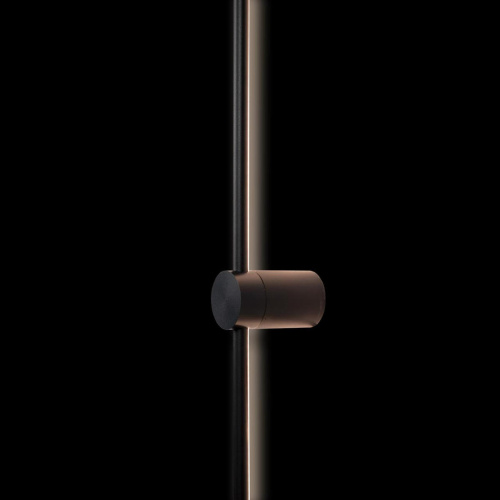 10053BK Настенный светильник LOFT IT Rays фото 6