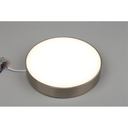 Светильник настенно-потолочный APL.0114.19.24 фото 4 Светильник настенно-потолочный APL.0114.19.24 фото 4