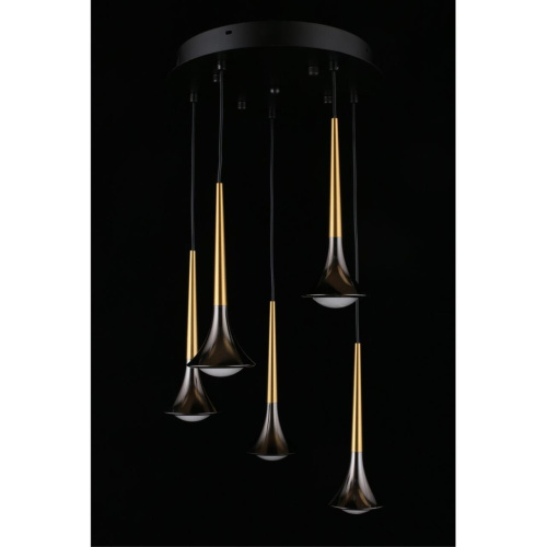 Люстра подвесная APL.784.06.05 фото 10